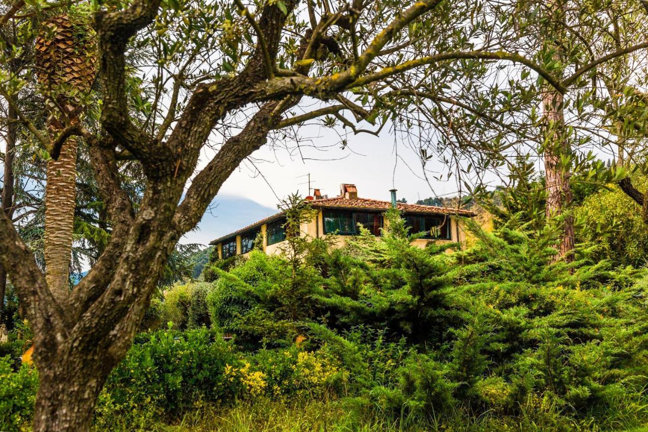 مبيت وإفطار Mommio Casa Matilde المظهر الخارجي الصورة